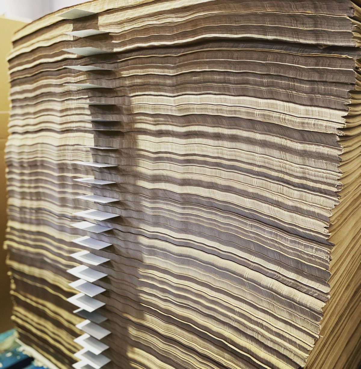 WhatsApp Image 2021-01-21 at 07.13.51 (3)