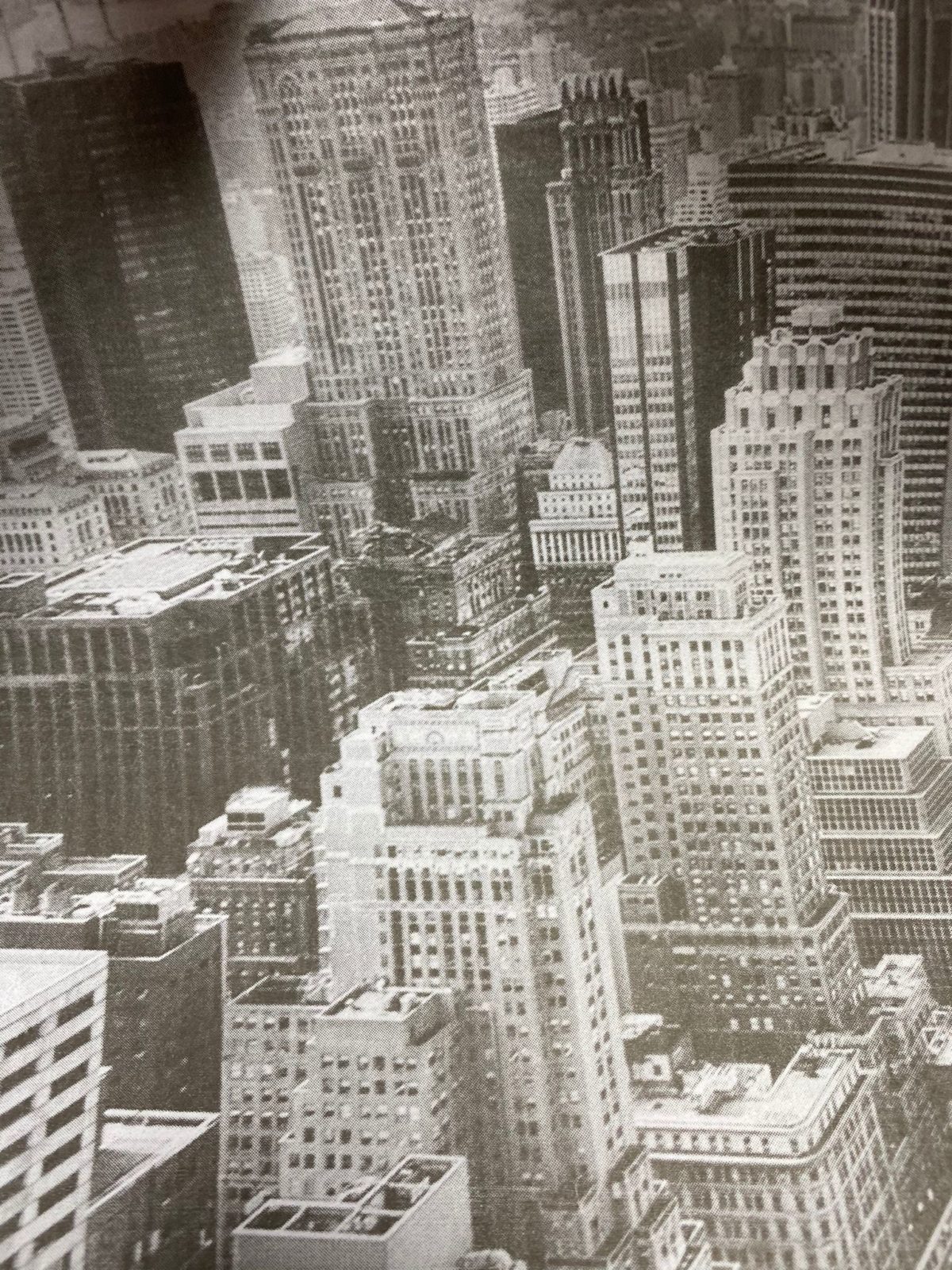 WhatsApp Image 2021-01-21 at 07.13.52 (2)